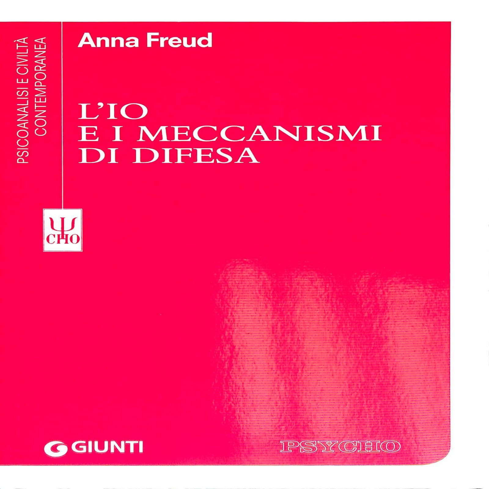 # Correzione e Ottimizzazione Scheda Prodotto